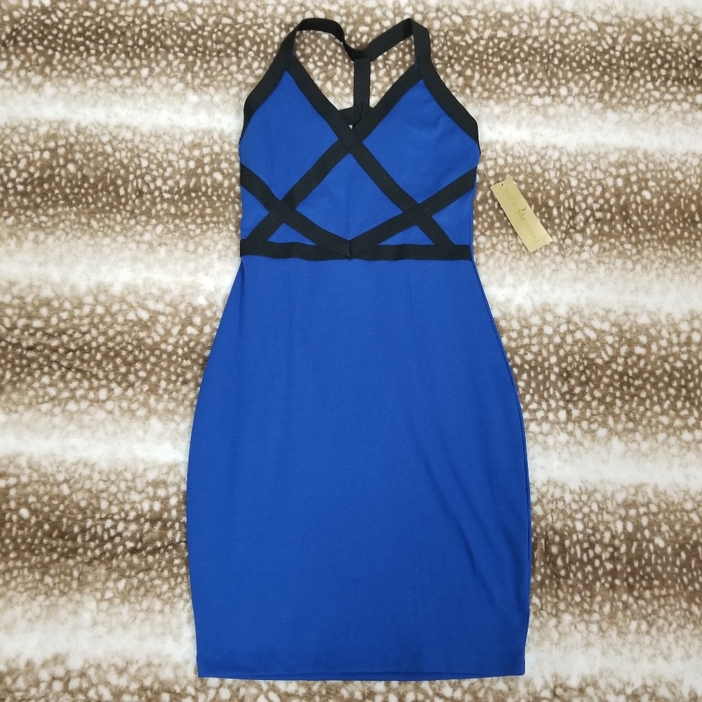 🆕️Nicki Minaj Blue Form Fitting Dress NWT